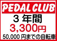 3年間盗難補償