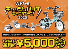 ViViの日キャッシュバックキャンペーン