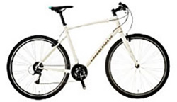 Csport1 2024年モデル