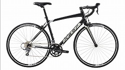 Z100(15)　2015年モデル