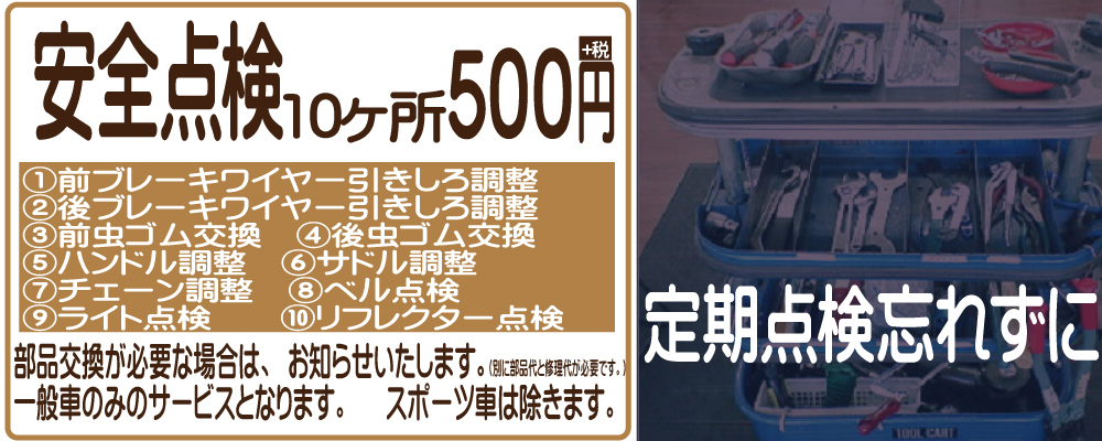 安全点検 10箇所 500円
