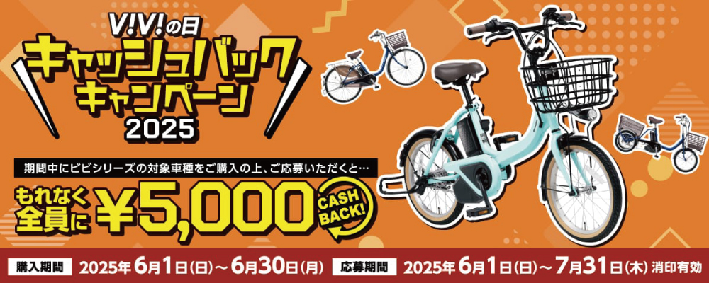 ViViの日キャンペーン